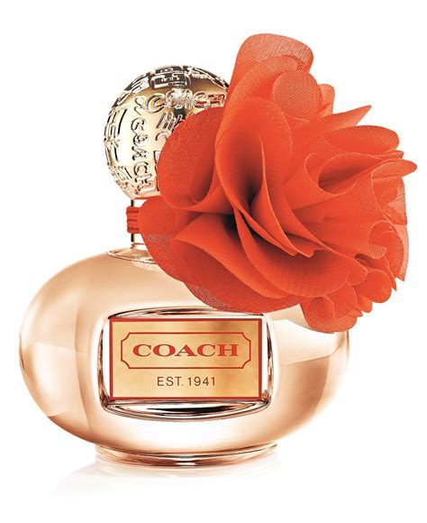 coach macy's perfume.